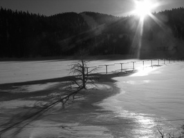 2006 02-Lake Tahoe BW Scenery 7